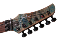 Headstock_detail